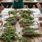 Quel est le tarif d'une formation naturopathe�?