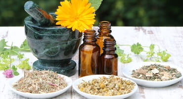 les pratiques naturopathiques
