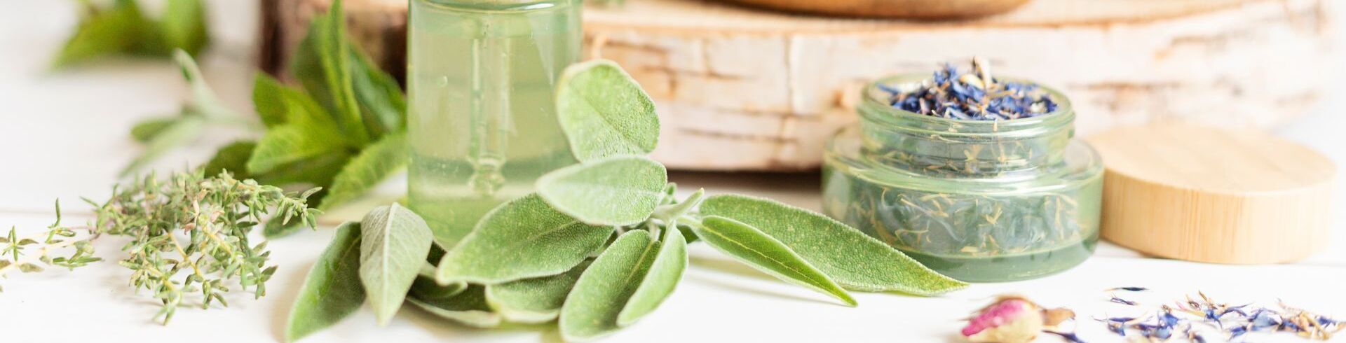 Formation naturopathe à distance : quel tarif pour votre cursus ?