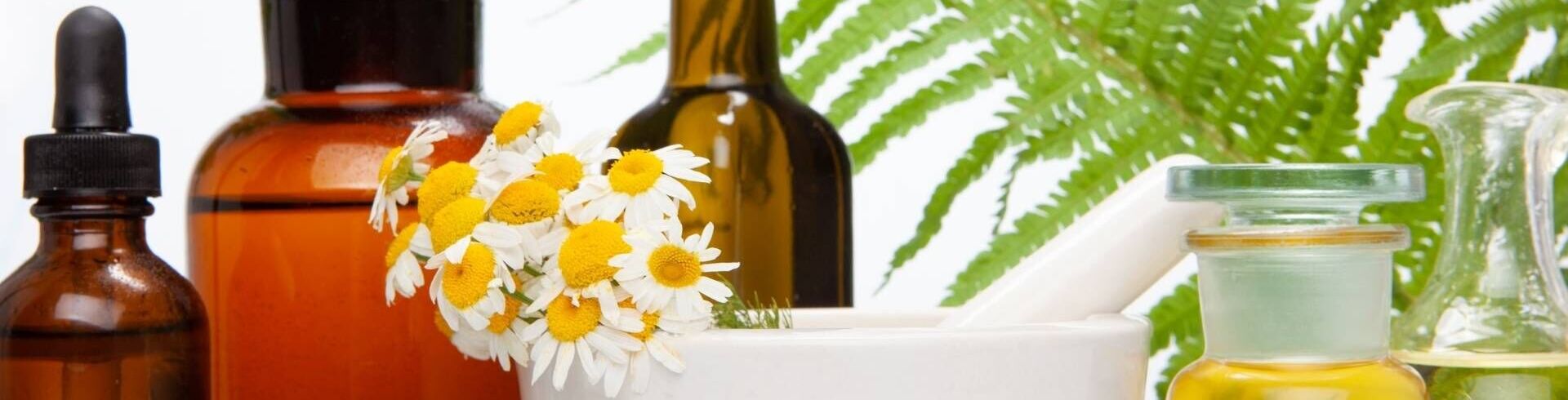 &Eacute;cole de sant&eacute; naturelle : formation de naturopathe et alternative