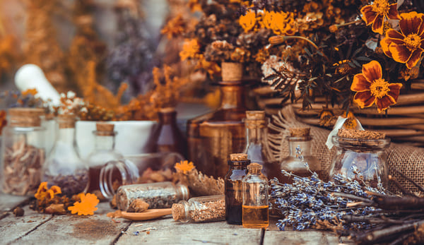 naturopathe formation