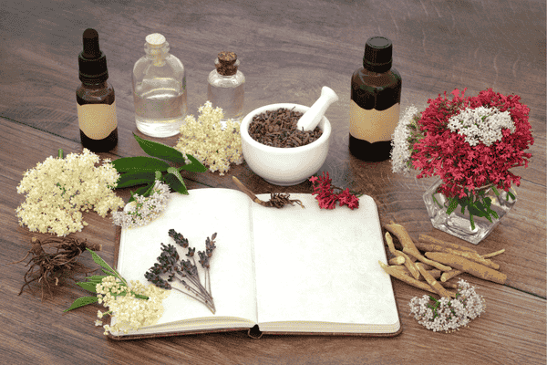 formation naturopathie