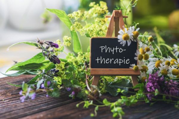 la phytoth�rapie