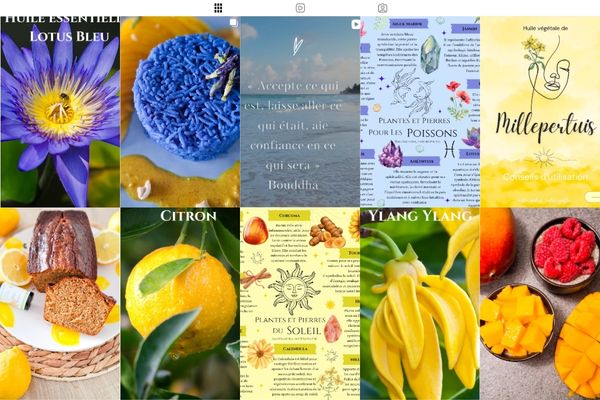 naturopathe blog